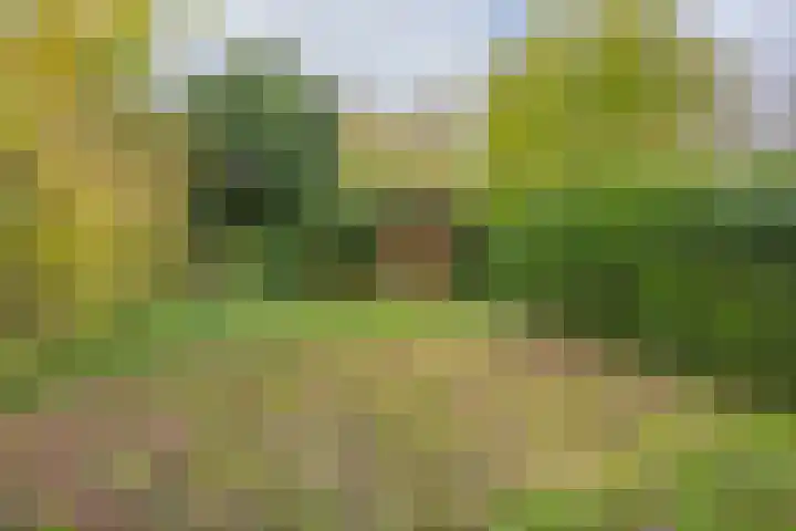 Rötscherweg 27 Landgraaf thumbnail 22
