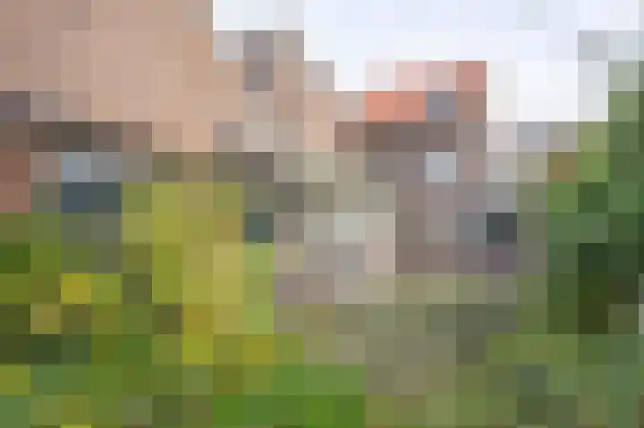 Rötscherweg 27 Landgraaf thumbnail 23