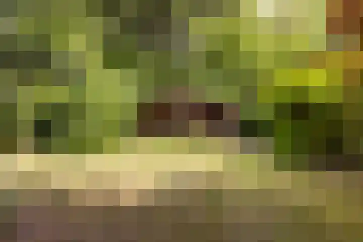 Rötscherweg 56 Landgraaf thumbnail 25