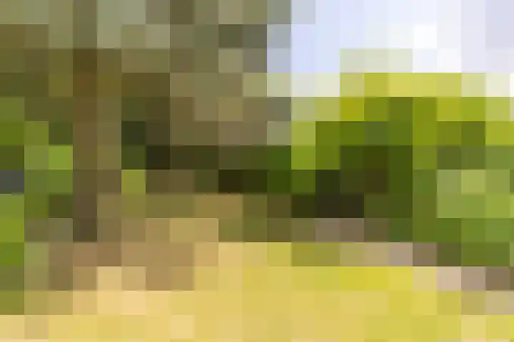 Rötscherweg 56 Landgraaf thumbnail 30