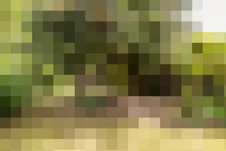Rötscherweg 56 Landgraaf thumbnail 31