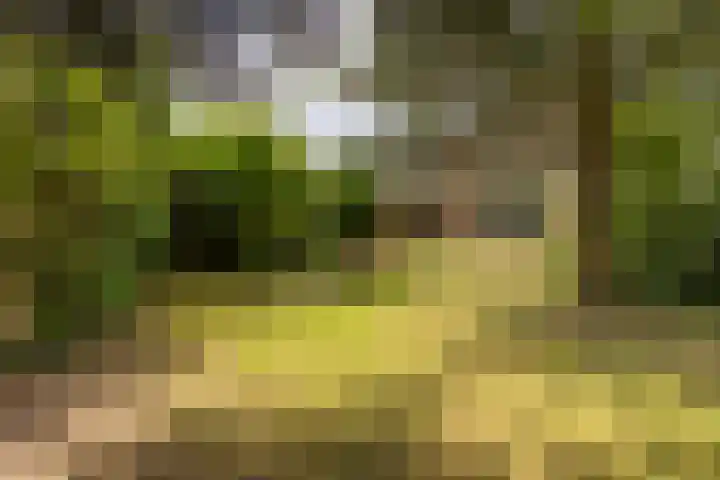 Rötscherweg 56 Landgraaf thumbnail 32