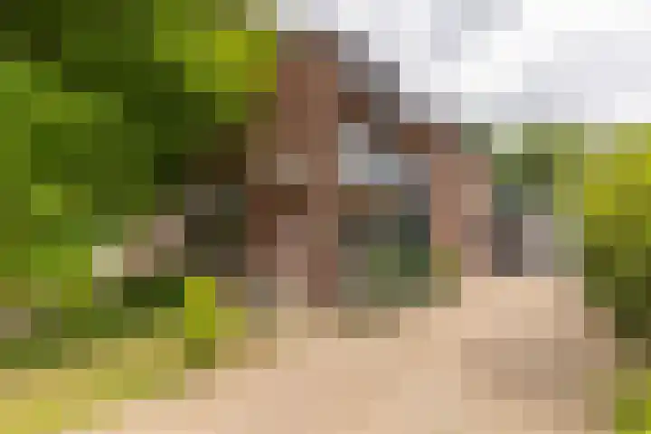 Rötscherweg 56 Landgraaf thumbnail 34