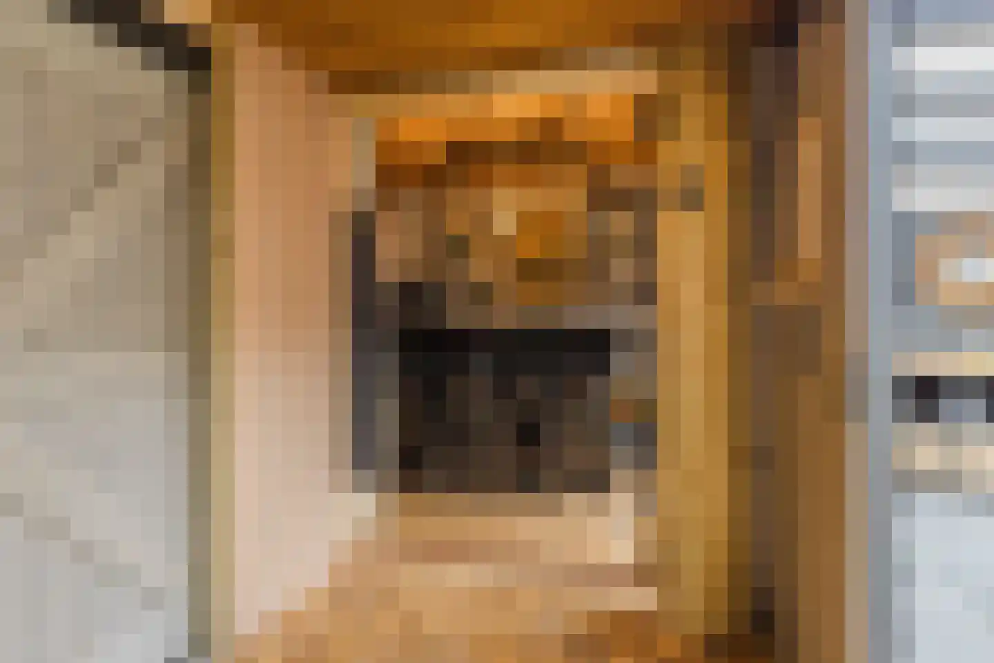 Rotselaar 39 Oosterhout thumbnail 35