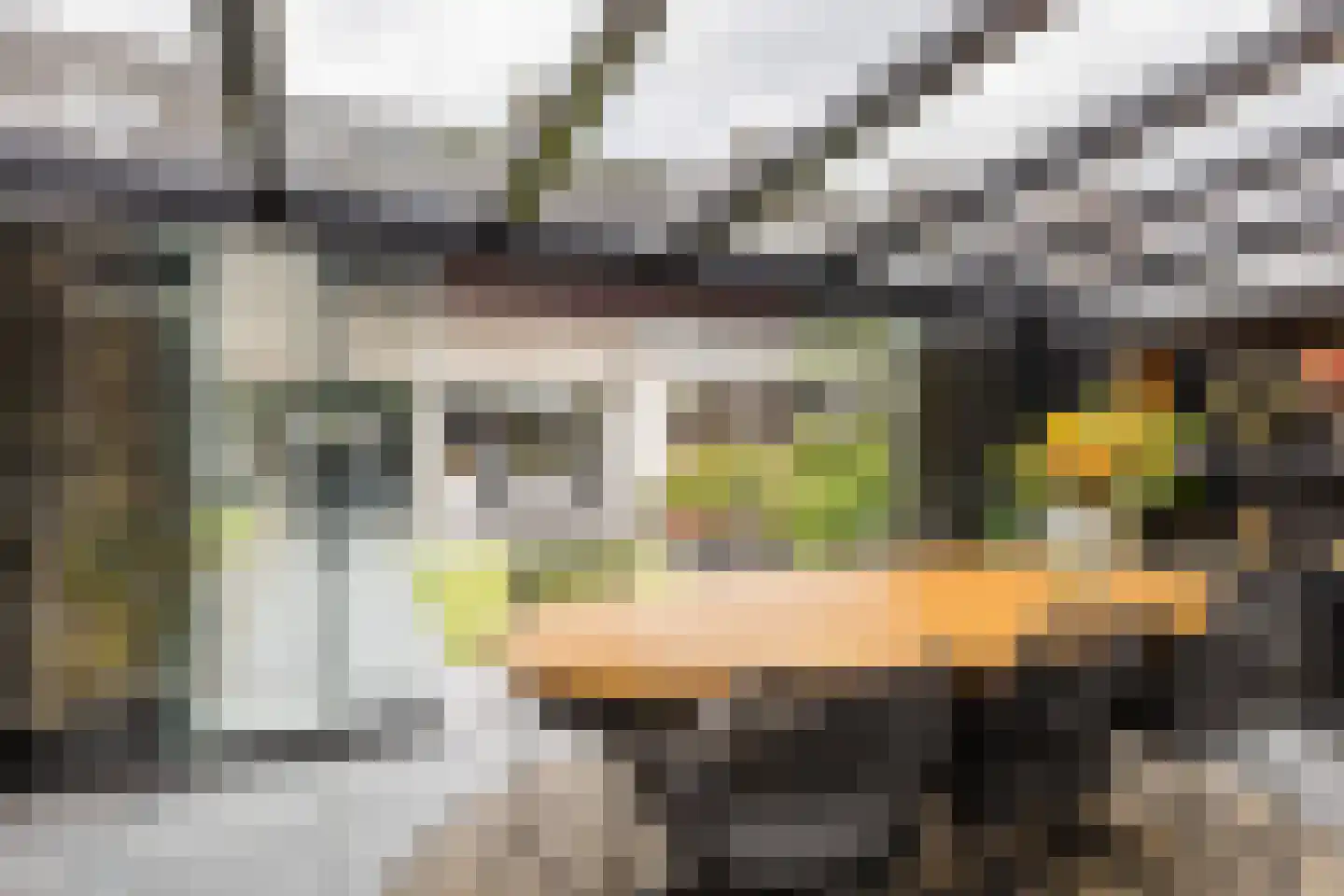 Rotselaar 39 Oosterhout thumbnail 4