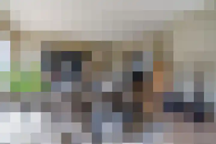 Rotselaar 9 Oosterhout thumbnail 15