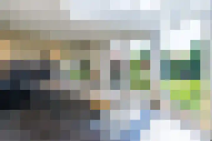 Rotselaar 9 Oosterhout thumbnail 17