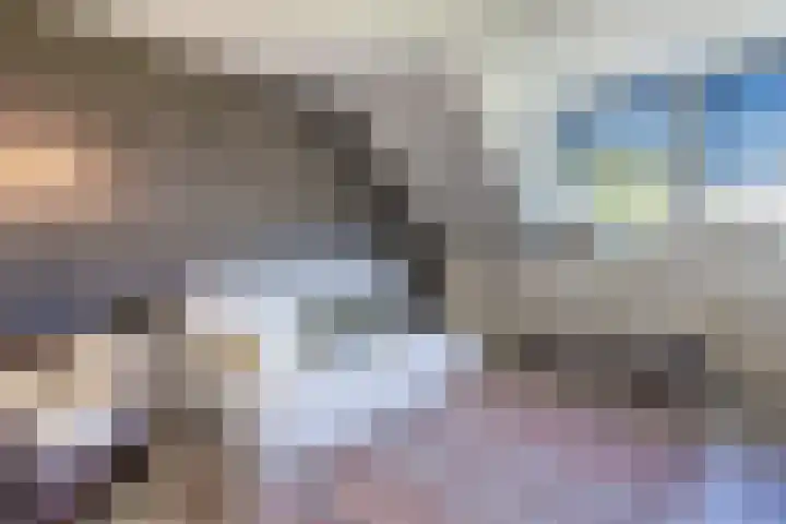 Rotselaar 9 Oosterhout thumbnail 20