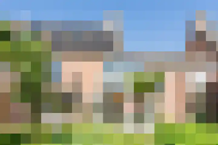 Rotselaar 9 Oosterhout thumbnail 24