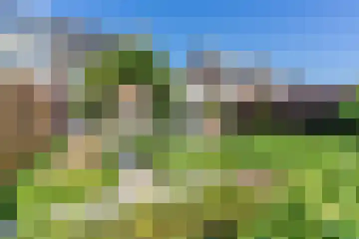 Rotselaar 9 Oosterhout thumbnail 25