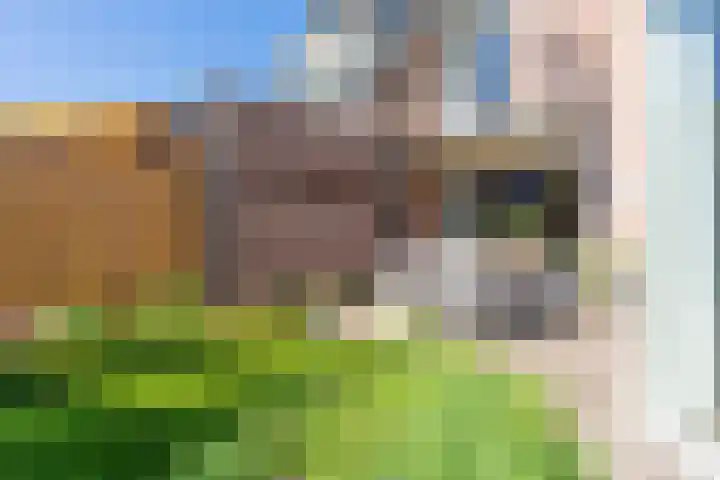 Rotselaar 9 Oosterhout thumbnail 27