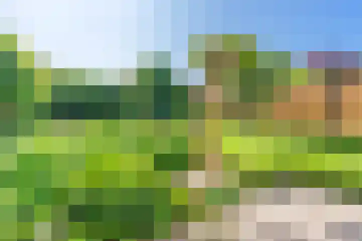 Rotselaar 9 Oosterhout thumbnail 28