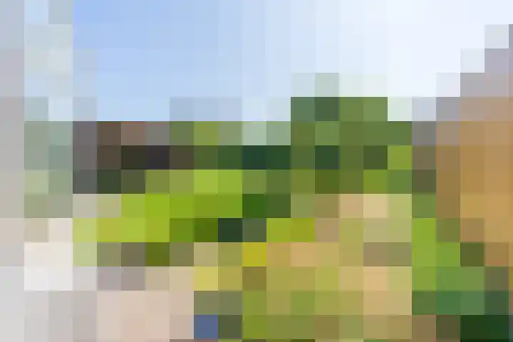 Rotselaar 9 Oosterhout thumbnail 29