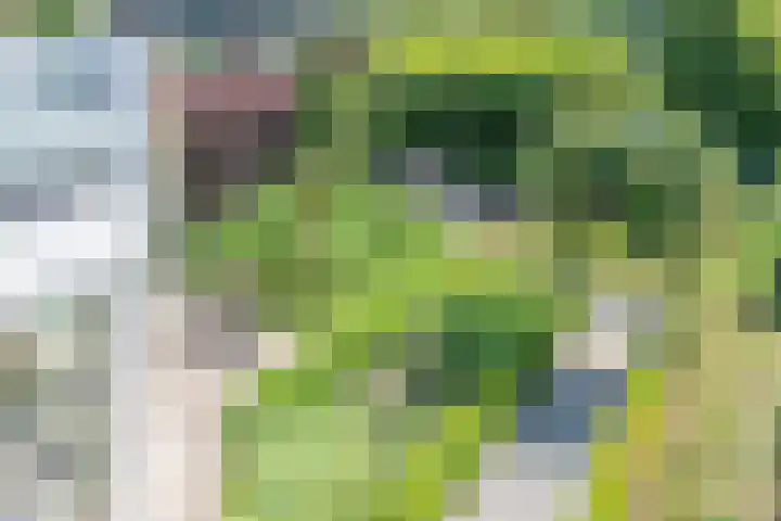 Rotselaar 9 Oosterhout thumbnail 30