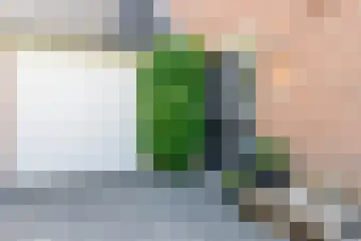 Rotselaar 9 Oosterhout thumbnail 4