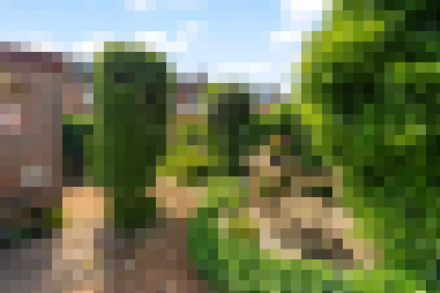 Rotsheide 4 Rotterdam thumbnail 26