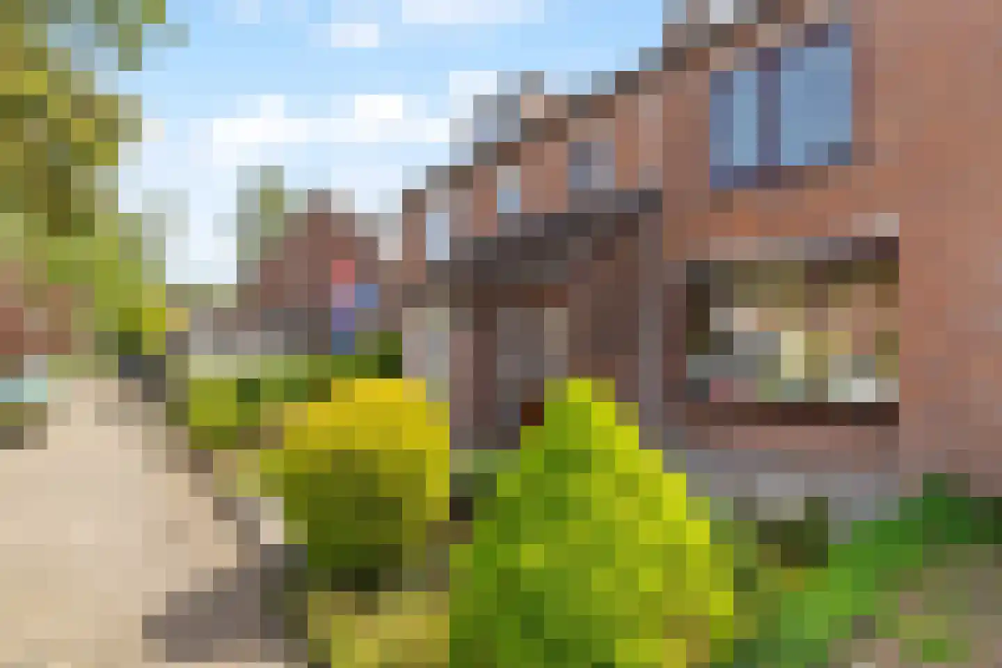 Rotsheide 4 Rotterdam thumbnail 28