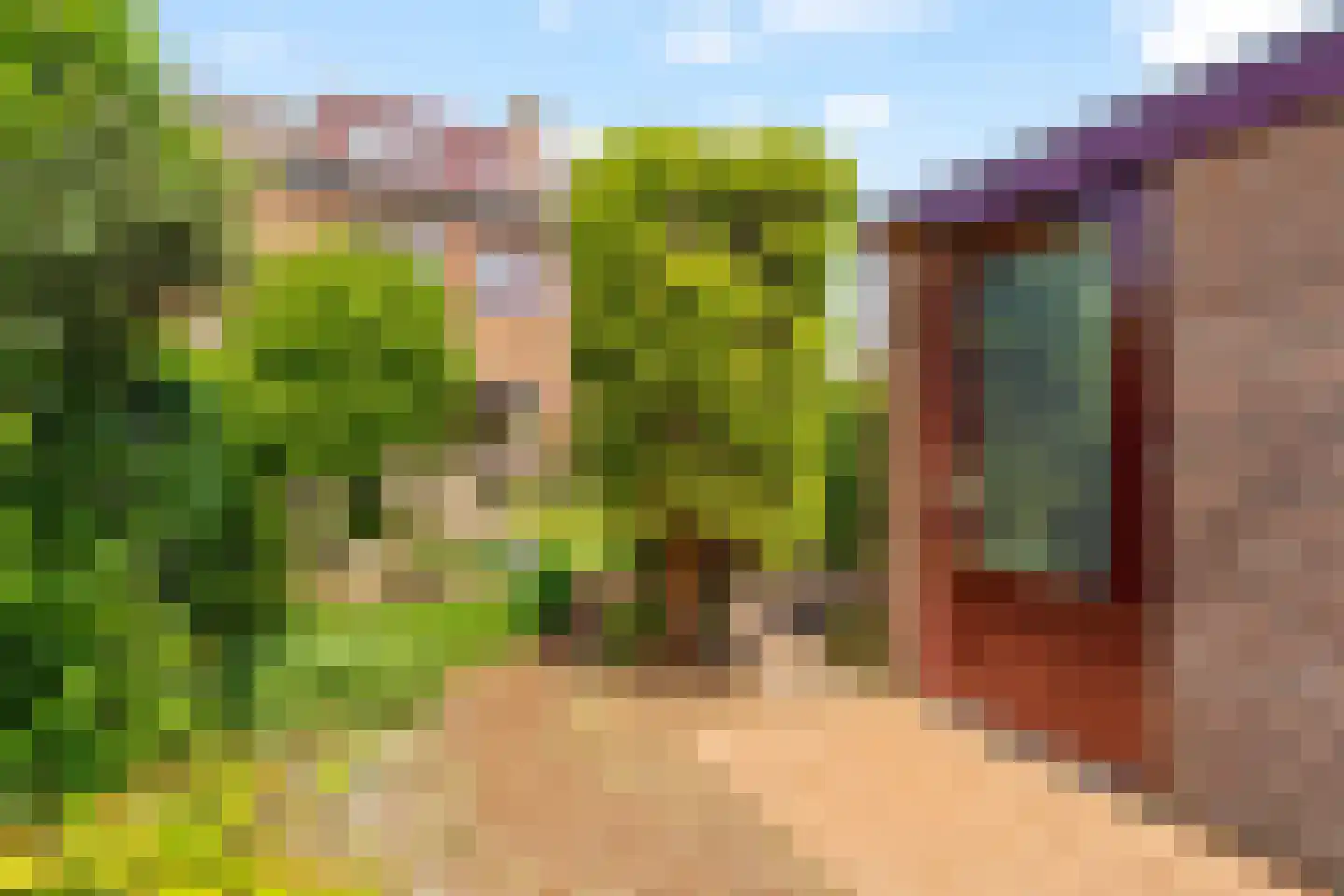 Rotsheide 4 Rotterdam thumbnail 4