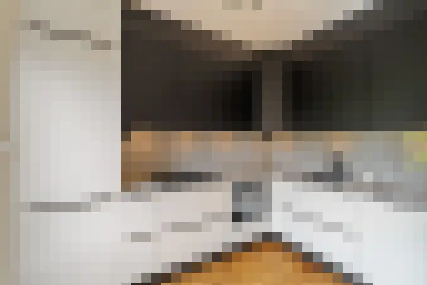 Rotsheide 4 Rotterdam thumbnail 6