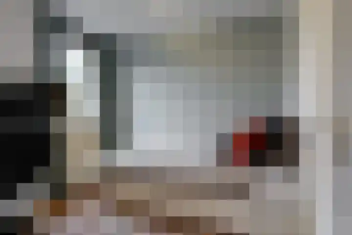 Rotskruiper 17 Nieuwegein thumbnail 17