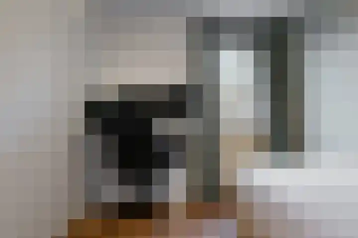 Rotskruiper 17 Nieuwegein thumbnail 18