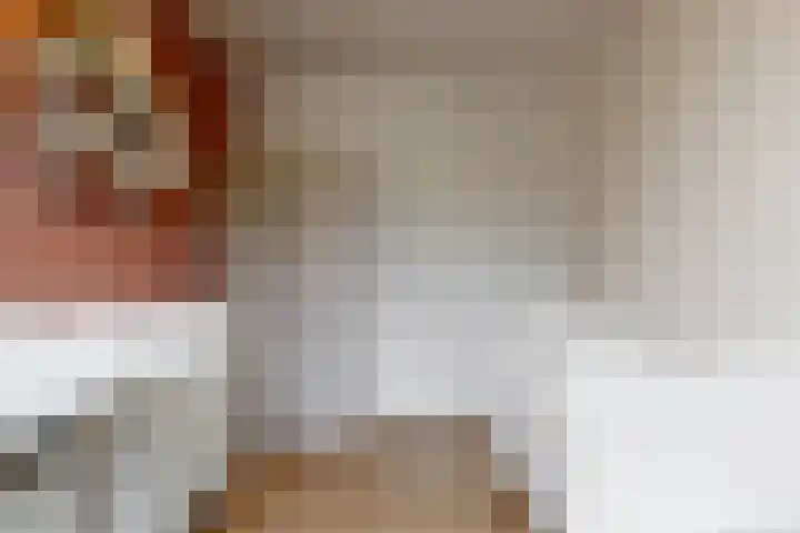 Rotskruiper 17 Nieuwegein thumbnail 20