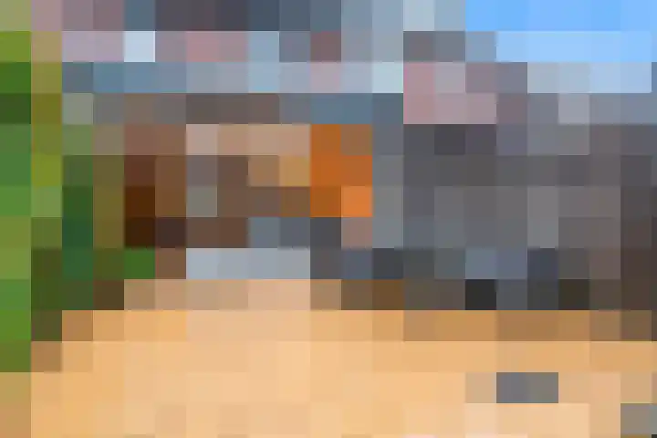 Rotskruiper 17 Nieuwegein thumbnail 31