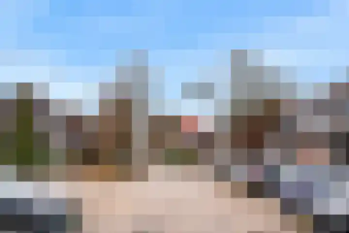 Rotskruiper 17 Nieuwegein thumbnail 33
