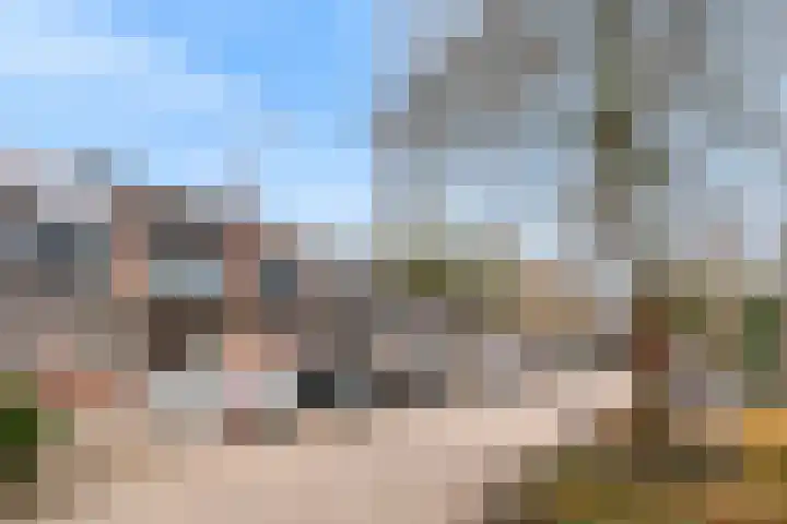 Rotskruiper 17 Nieuwegein thumbnail 34