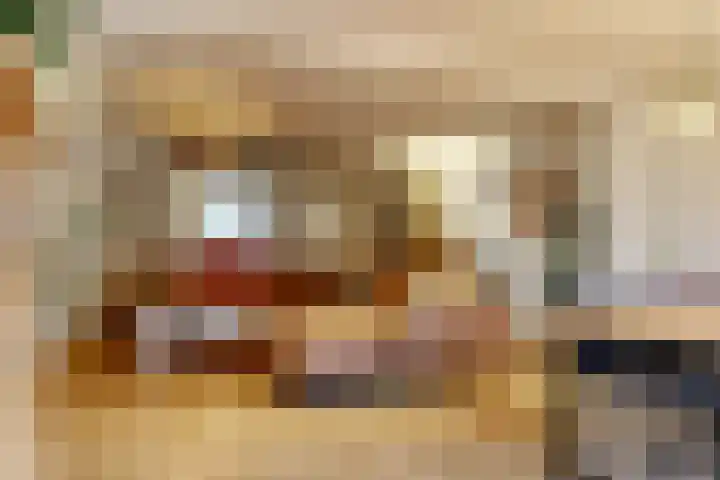 Rotskruiper 17 Nieuwegein thumbnail 4