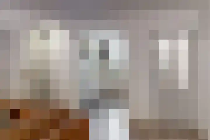 Rotskruiper 17 Nieuwegein thumbnail 9
