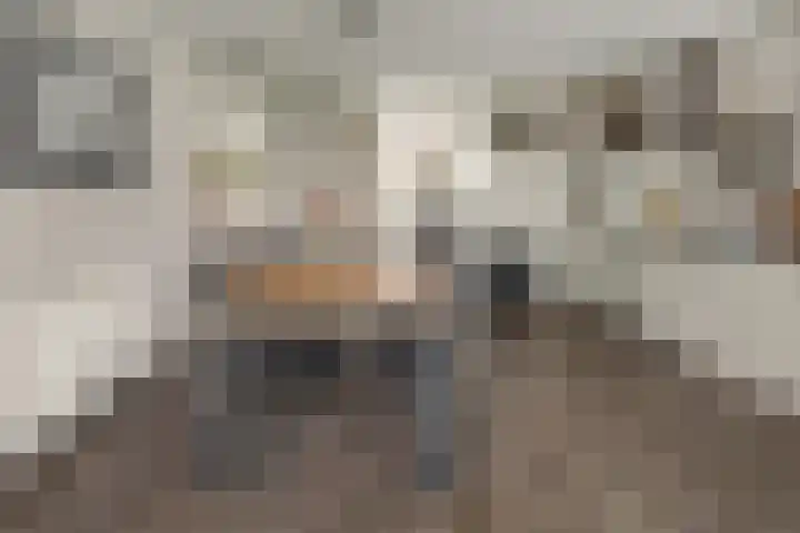 Rotstergaastweg 44 Nieuweschoot thumbnail 10