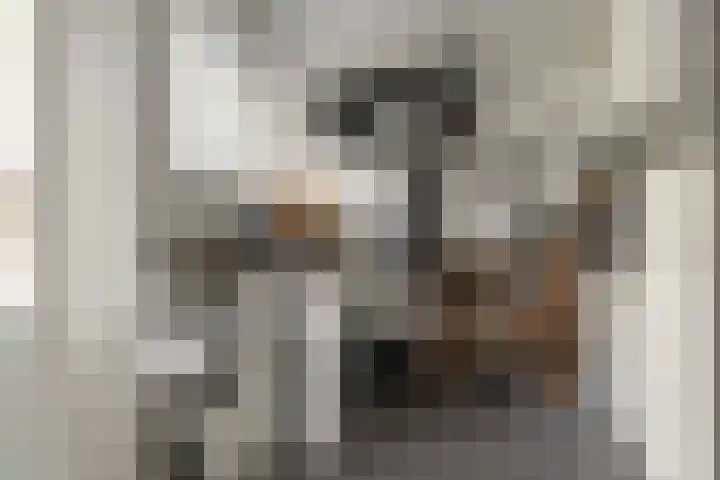 Rotstergaastweg 44 Nieuweschoot thumbnail 12