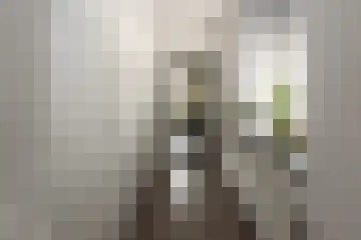 Rotstergaastweg 44 Nieuweschoot thumbnail 13