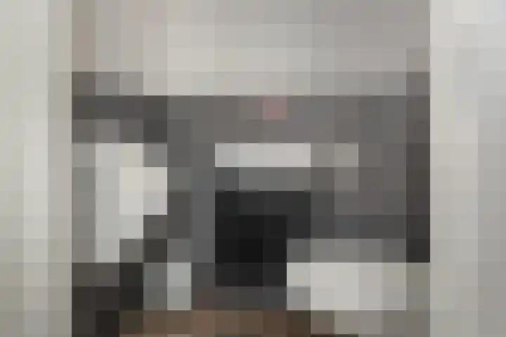 Rotstergaastweg 44 Nieuweschoot thumbnail 14