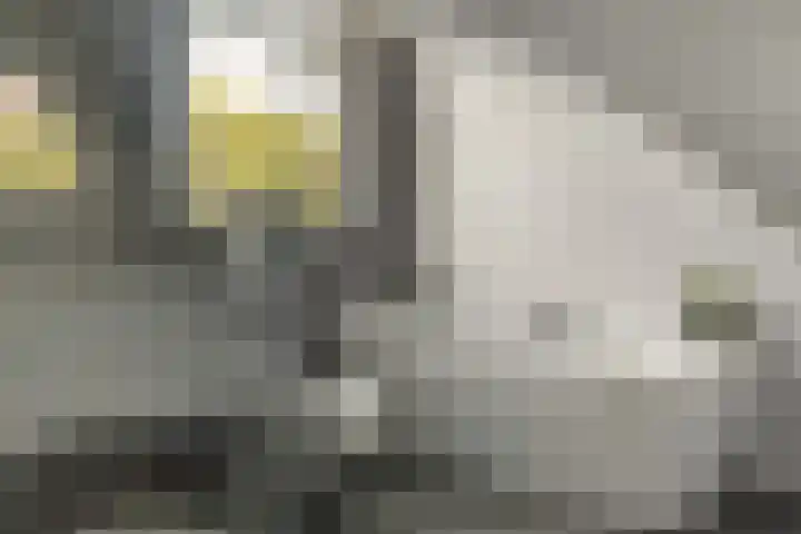 Rotstergaastweg 44 Nieuweschoot thumbnail 16