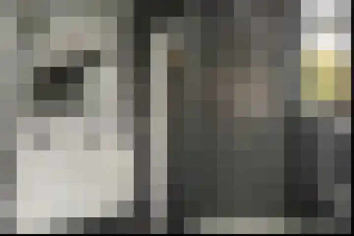 Rotstergaastweg 44 Nieuweschoot thumbnail 17