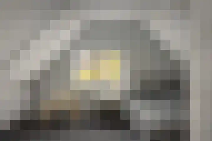 Rotstergaastweg 44 Nieuweschoot thumbnail 23