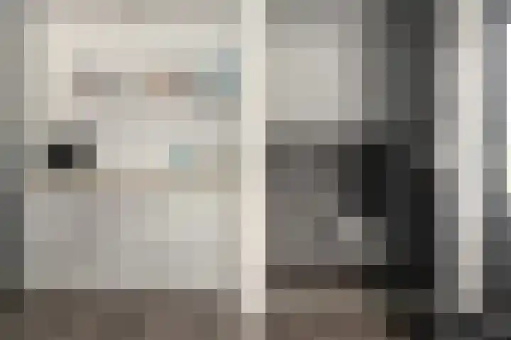 Rotstergaastweg 44 Nieuweschoot thumbnail 25