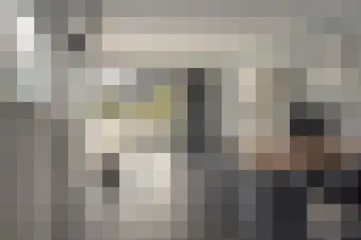 Rotstergaastweg 44 Nieuweschoot thumbnail 26