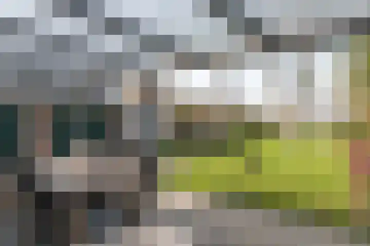 Rotstergaastweg 44 Nieuweschoot thumbnail 31