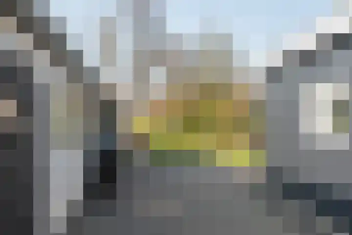 Rotstergaastweg 44 Nieuweschoot thumbnail 32