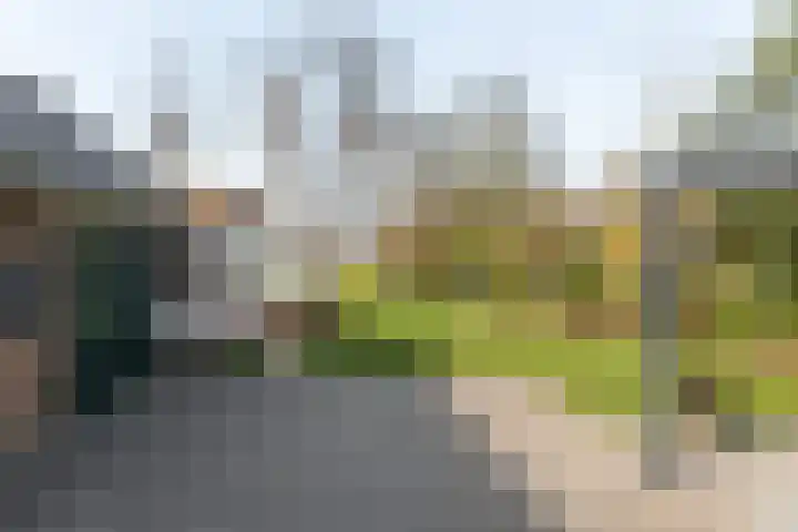Rotstergaastweg 44 Nieuweschoot thumbnail 33