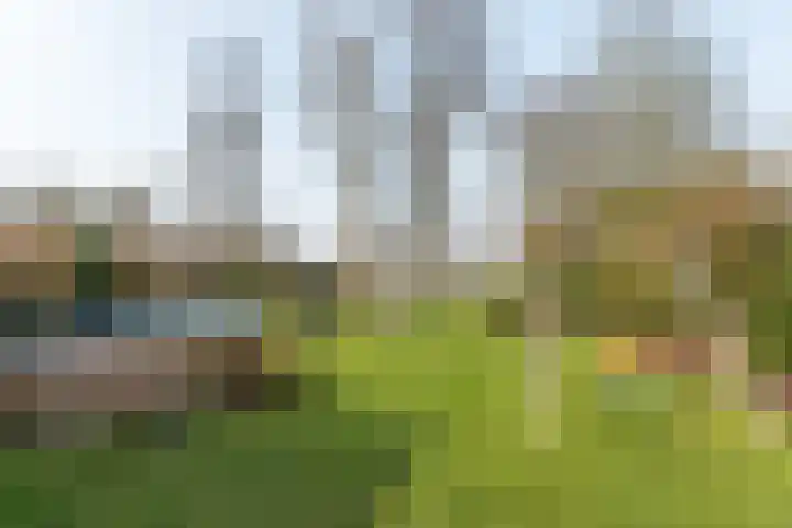 Rotstergaastweg 44 Nieuweschoot thumbnail 35