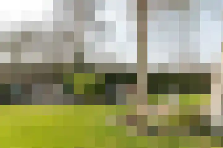 Rotstergaastweg 44 Nieuweschoot thumbnail 38