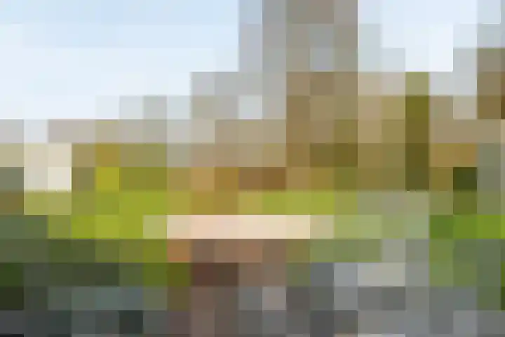 Rotstergaastweg 44 Nieuweschoot thumbnail 39