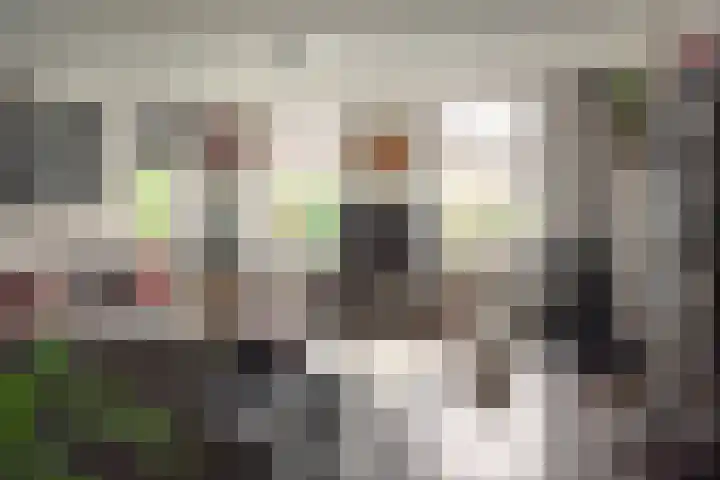 Rotstergaastweg 44 Nieuweschoot thumbnail 4