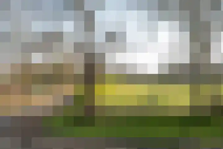 Rotstergaastweg 44 Nieuweschoot thumbnail 42