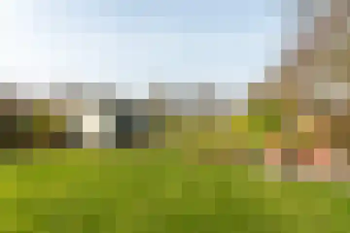 Rotstergaastweg 44 Nieuweschoot thumbnail 43