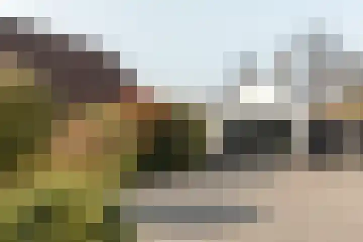Rotstergaastweg 44 Nieuweschoot thumbnail 44